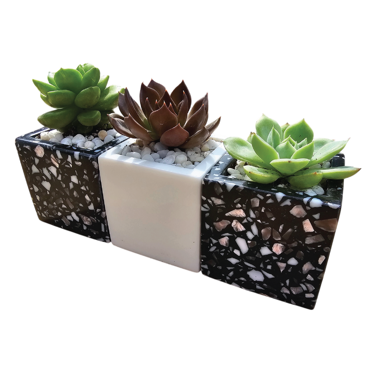 Chroma Mini Planter Set of 3