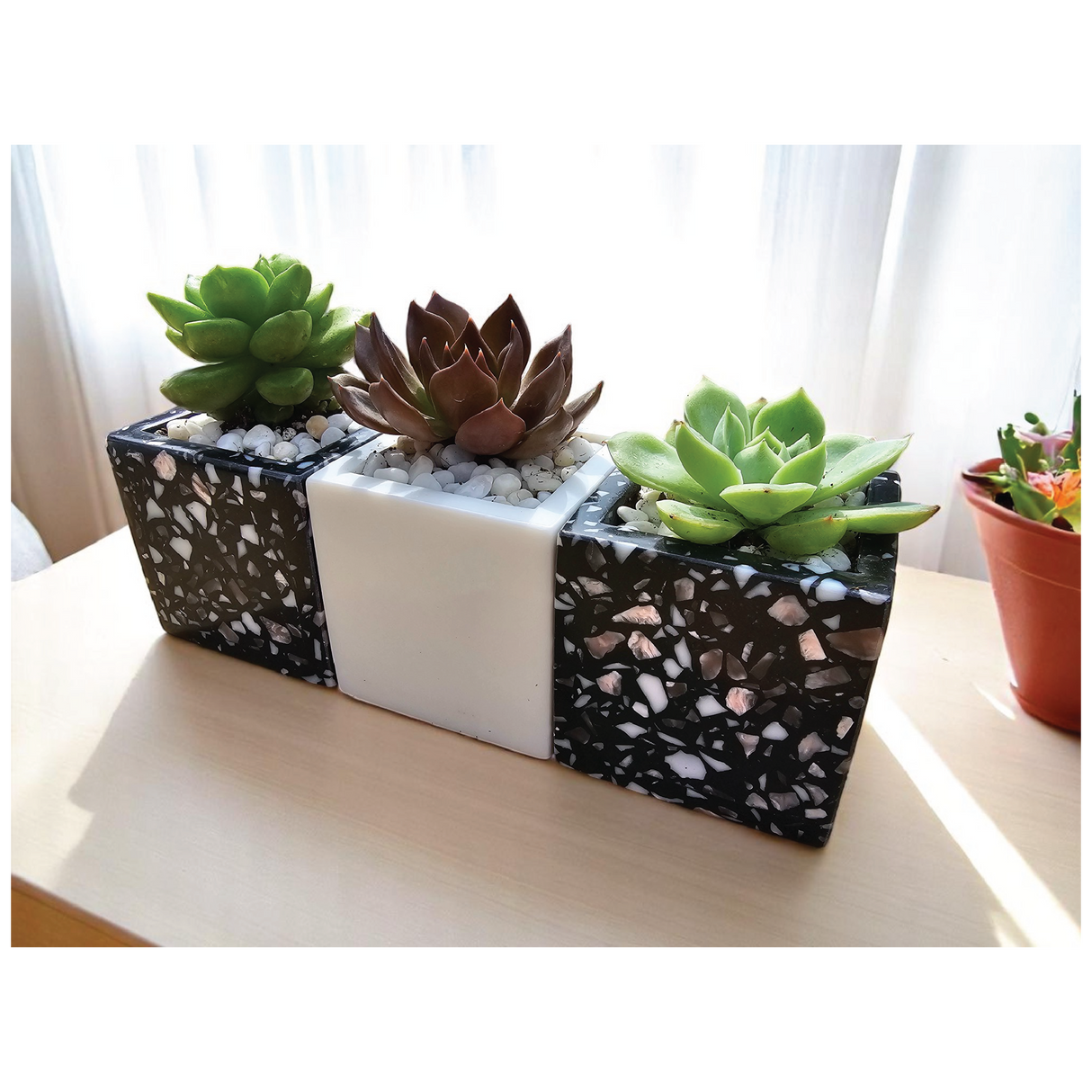 Chroma Mini Planter Set of 3
