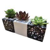 Chroma Mini Planter Set of 3